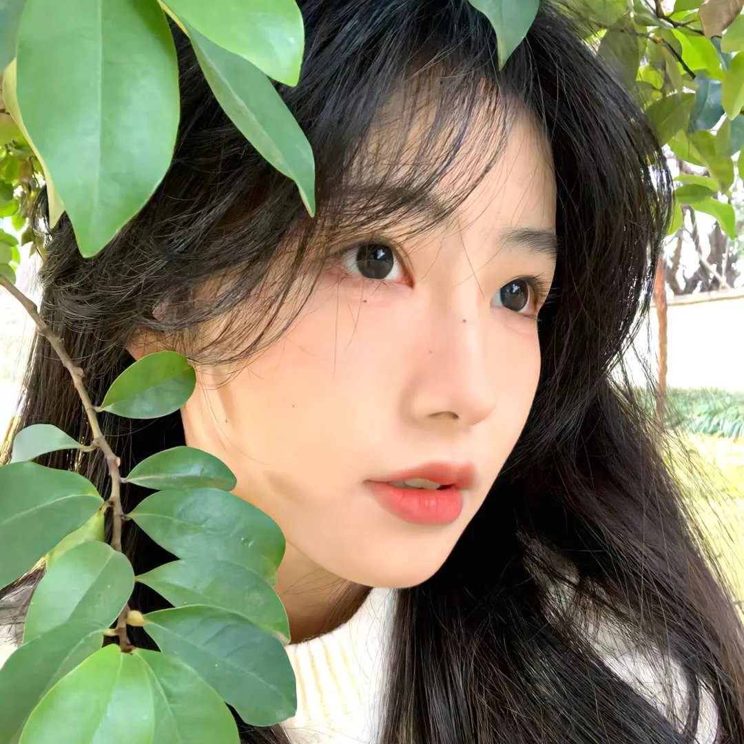 美国动物
